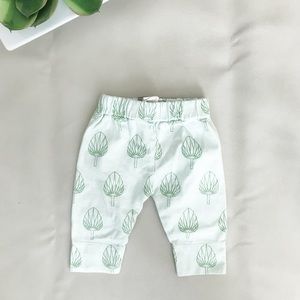 (0-3mo) Kate Quinn Organic Sage Pants Boy/Girl